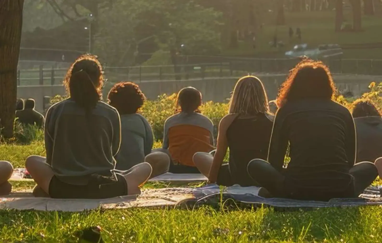 Group of people relaxing on a lawn in a park at sunset